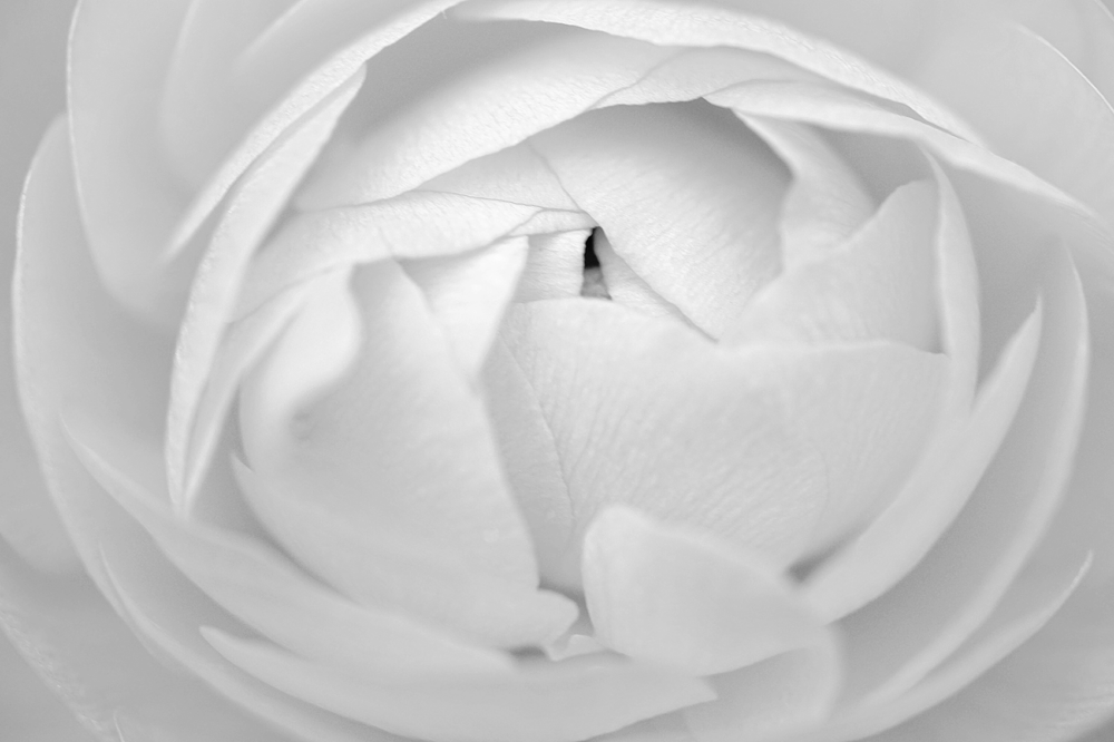 Serenity
52" x 30"
Photograph Print on 100lb Paper