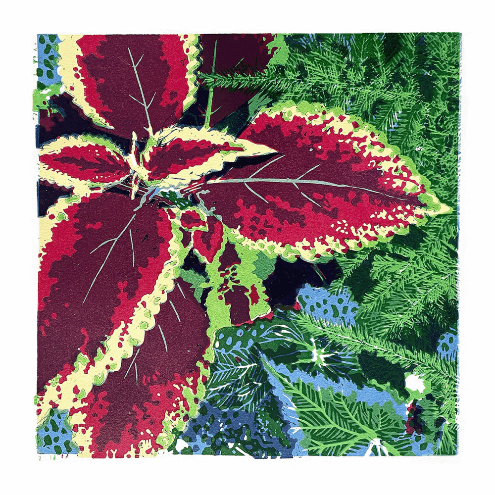 Coleus (2021)
Linoleum Relief
17.5" x 17.5"
$235
